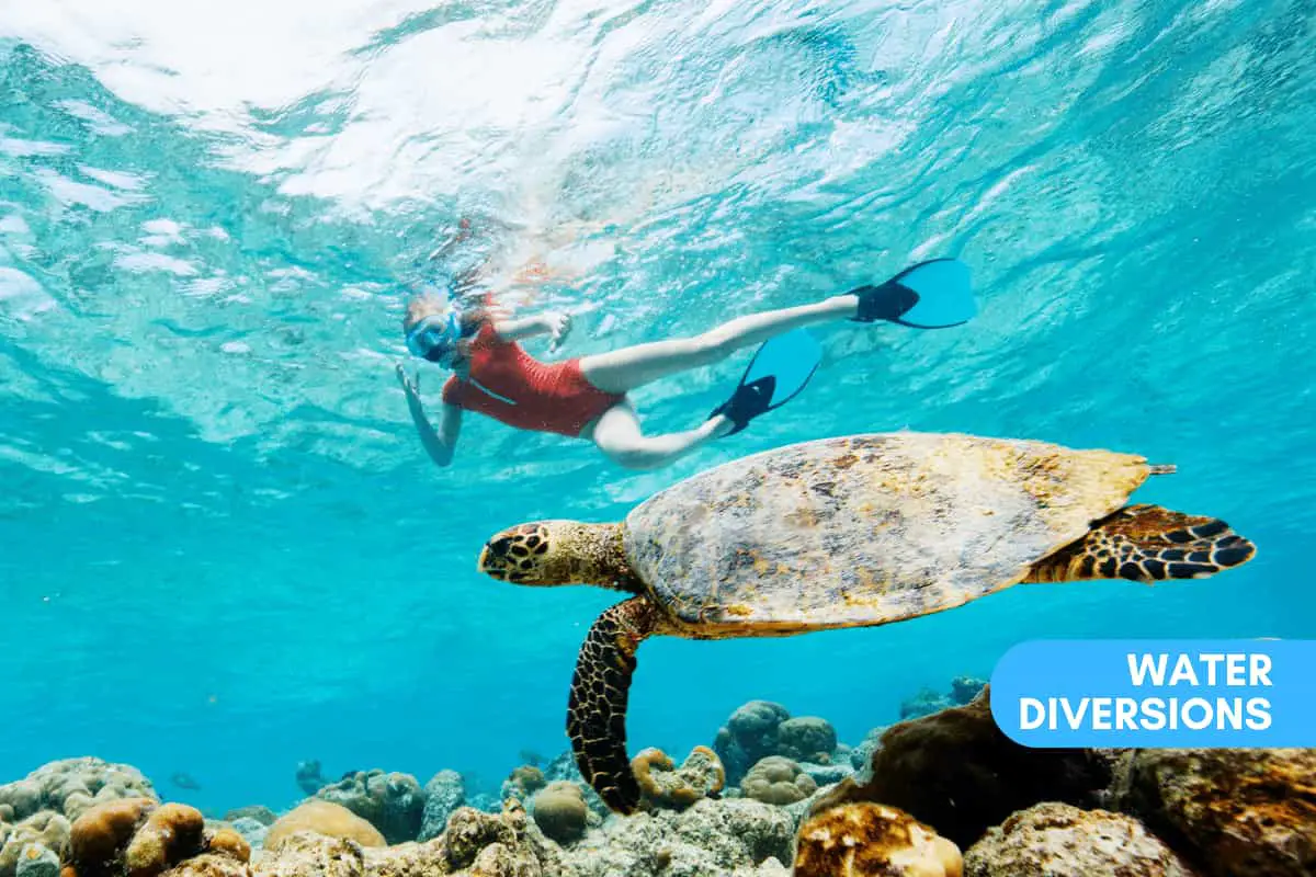 Kid snorkeling next to a turtle